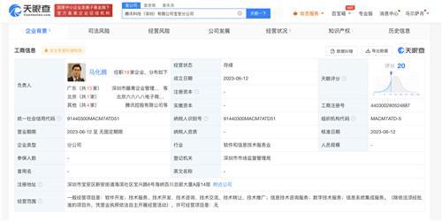 馬化騰任騰訊科技寶安分公司負責人，聚焦信息系統集成服務發展